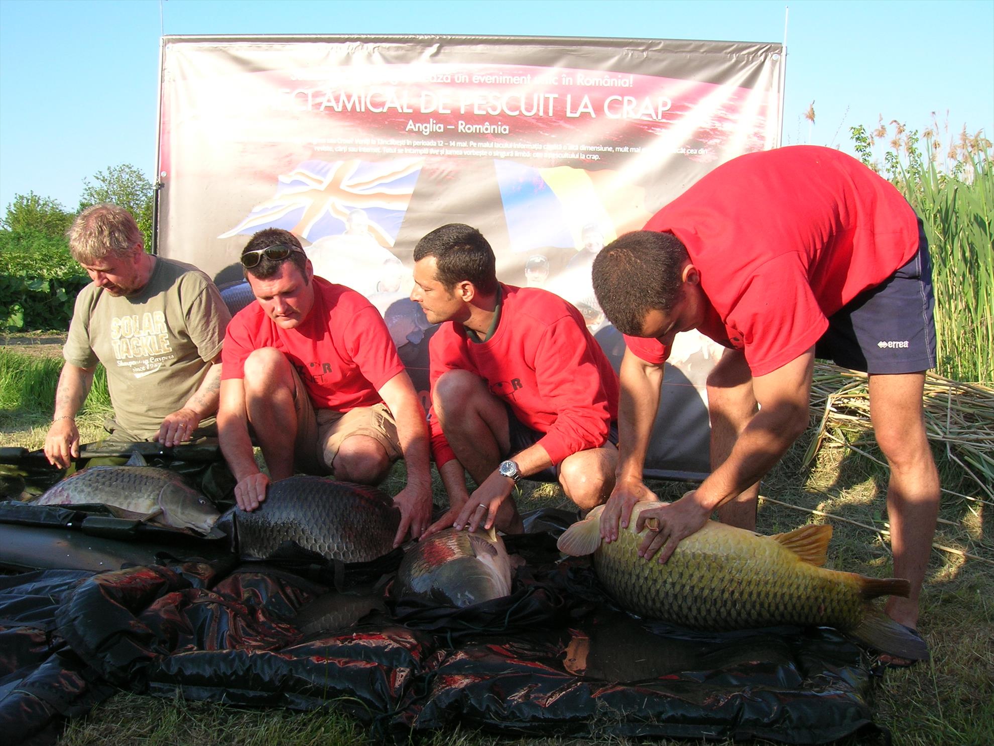 MAI VECHI - dscn5219.JPG